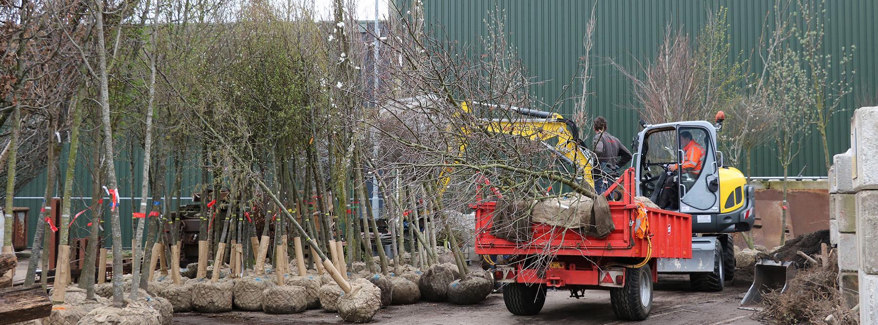 banner Bomen inboet Veenendaal