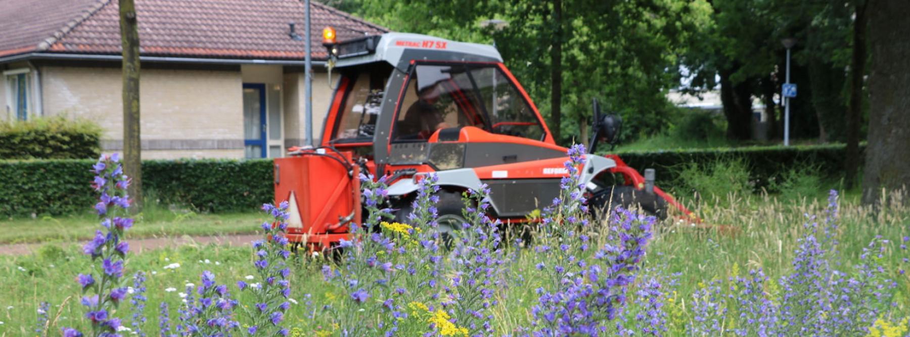 banner Reform ecologische bloembermen