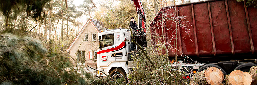 Vaarkamp boomverzorging en boomonderhoud in regio Ede