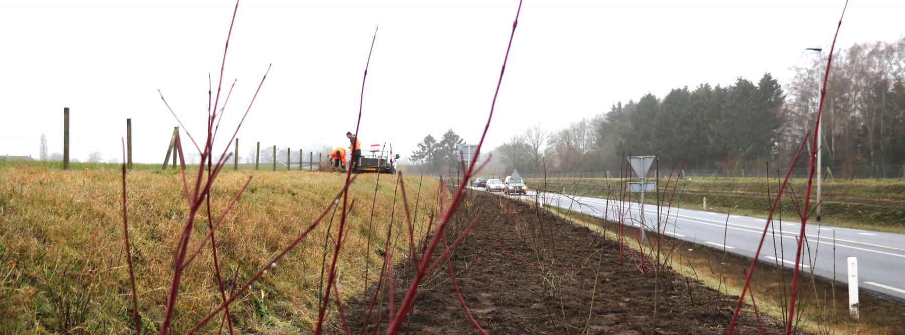 banner Groen kralensnoer langs N348